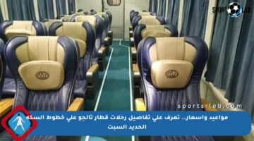 مواعيد وأسعار.. تعرف على تفاصيل رحلات قطار تالجو على خطوط السكة الحديد السبت